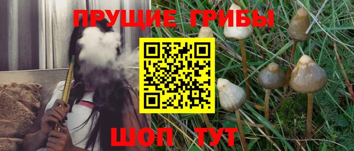 Галлюциногенные грибы GOLDEN TEACHER Печора