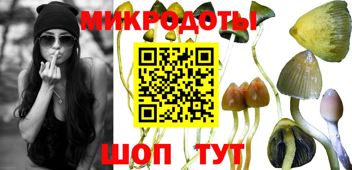 Галлюциногенные грибы Cubensis  купить   Печора  Псилоцибиновые грибы Psilocybine cubensis  Вход с VPN 